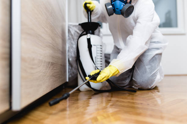 Best Cockroach Control Services  in Toona, AL