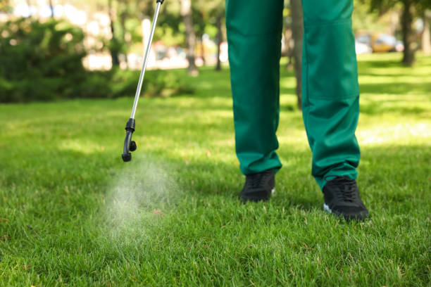 Flea Control Services in Altoona, AL